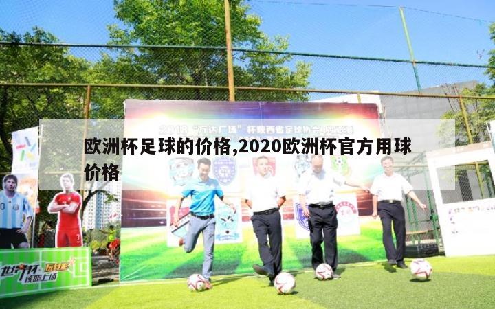 欧洲杯足球的价格,2020欧洲杯官方用球价格