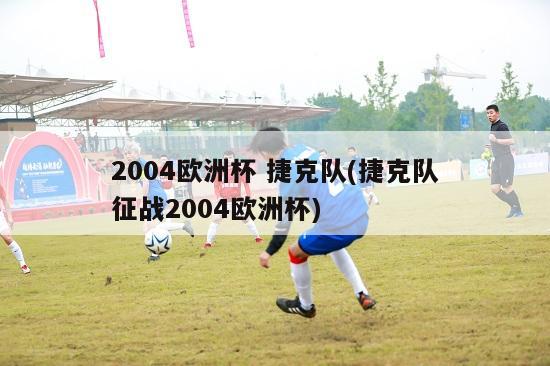 2004欧洲杯 捷克队(捷克队征战2004欧洲杯)