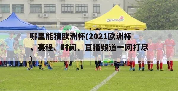 哪里能猜欧洲杯(2021欧洲杯，赛程、时间、直播频道一网打尽)