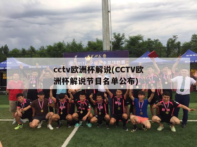 cctv欧洲杯解说(CCTV欧洲杯解说节目名单公布)