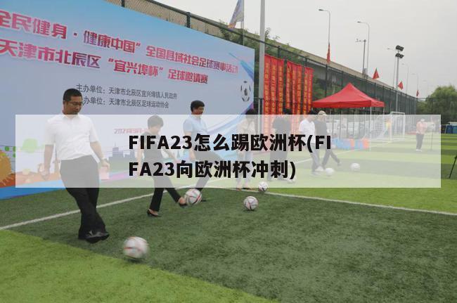 FIFA23怎么踢欧洲杯(FIFA23向欧洲杯冲刺)